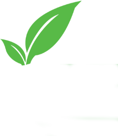 green-leaves